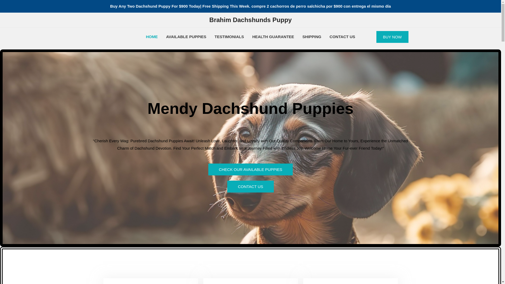 website screenshot of https://brahimdachshundspuppy.com/