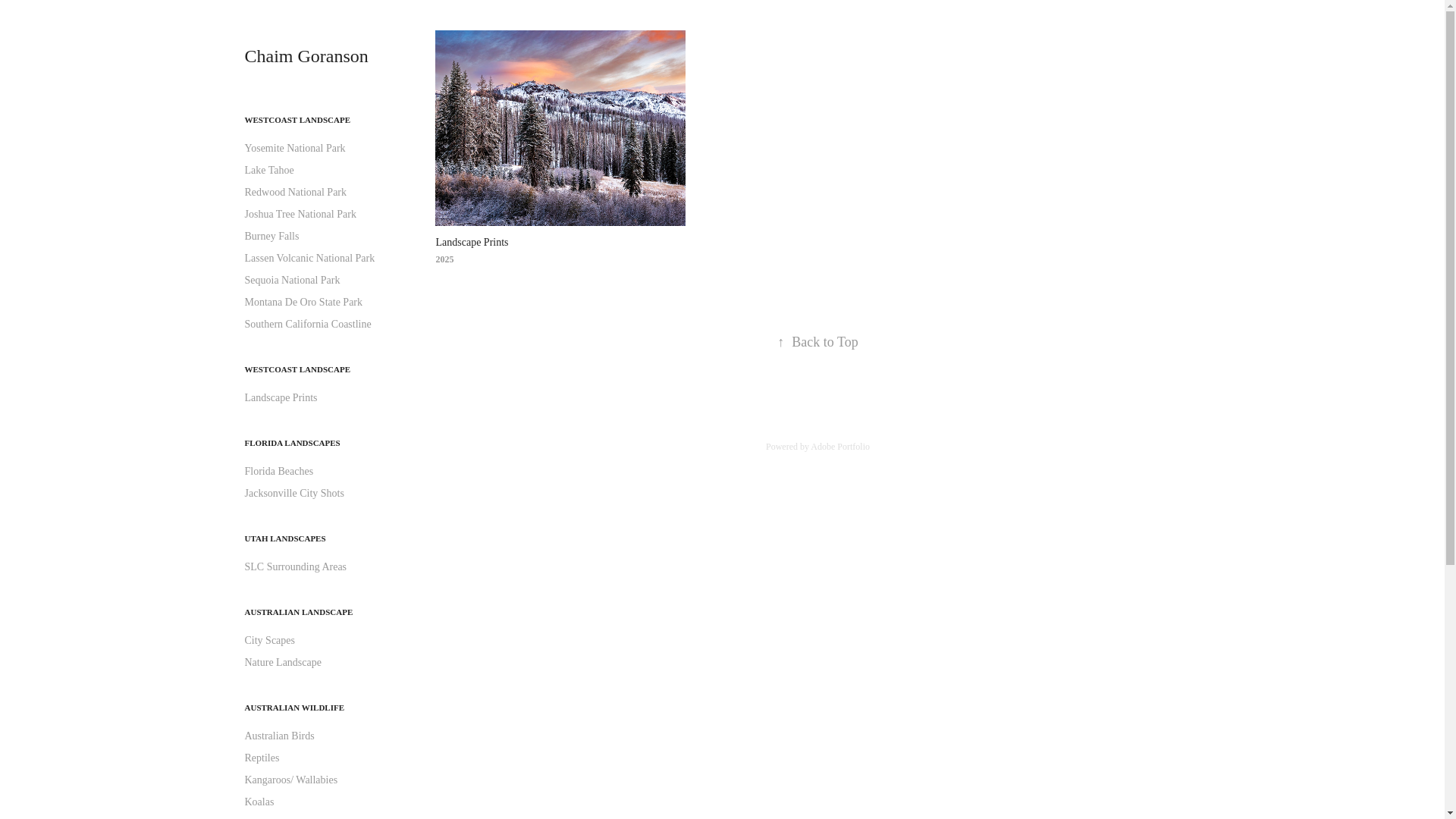 website screenshot of https://chaimgoransonphotos.com/