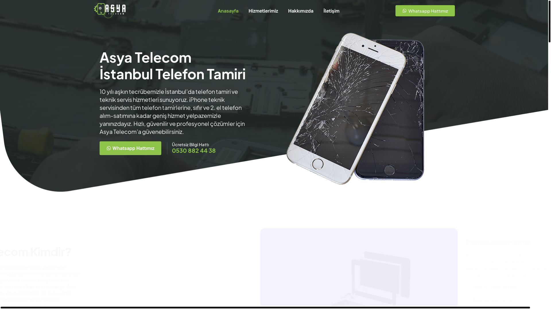 website screenshot of https://asyatelefontamiri.com.tr/