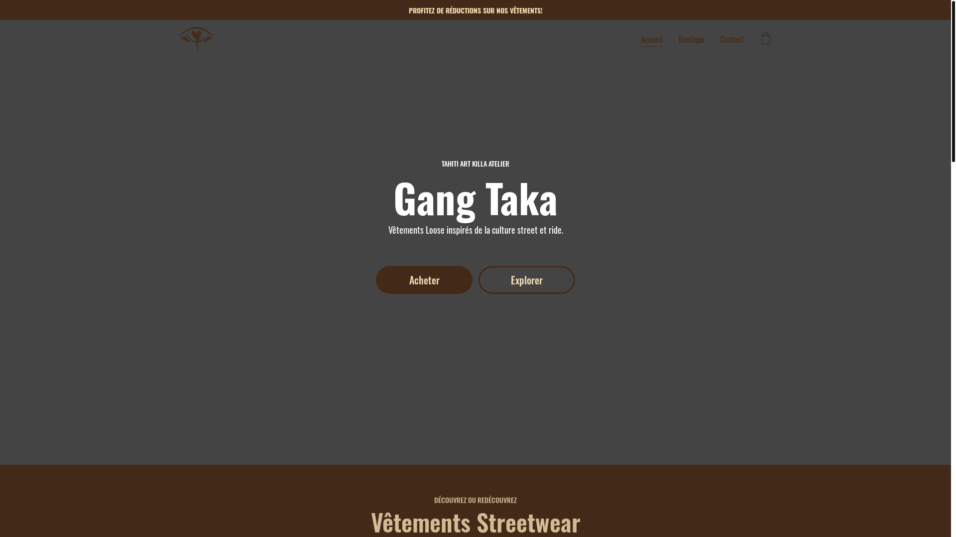 website screenshot of https://gangtaka-tahiti.com/