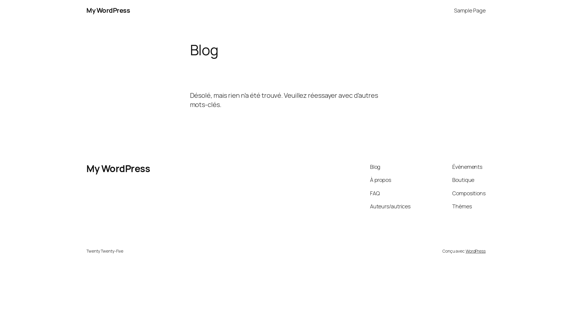 website screenshot of https://ticket-maxi.com/