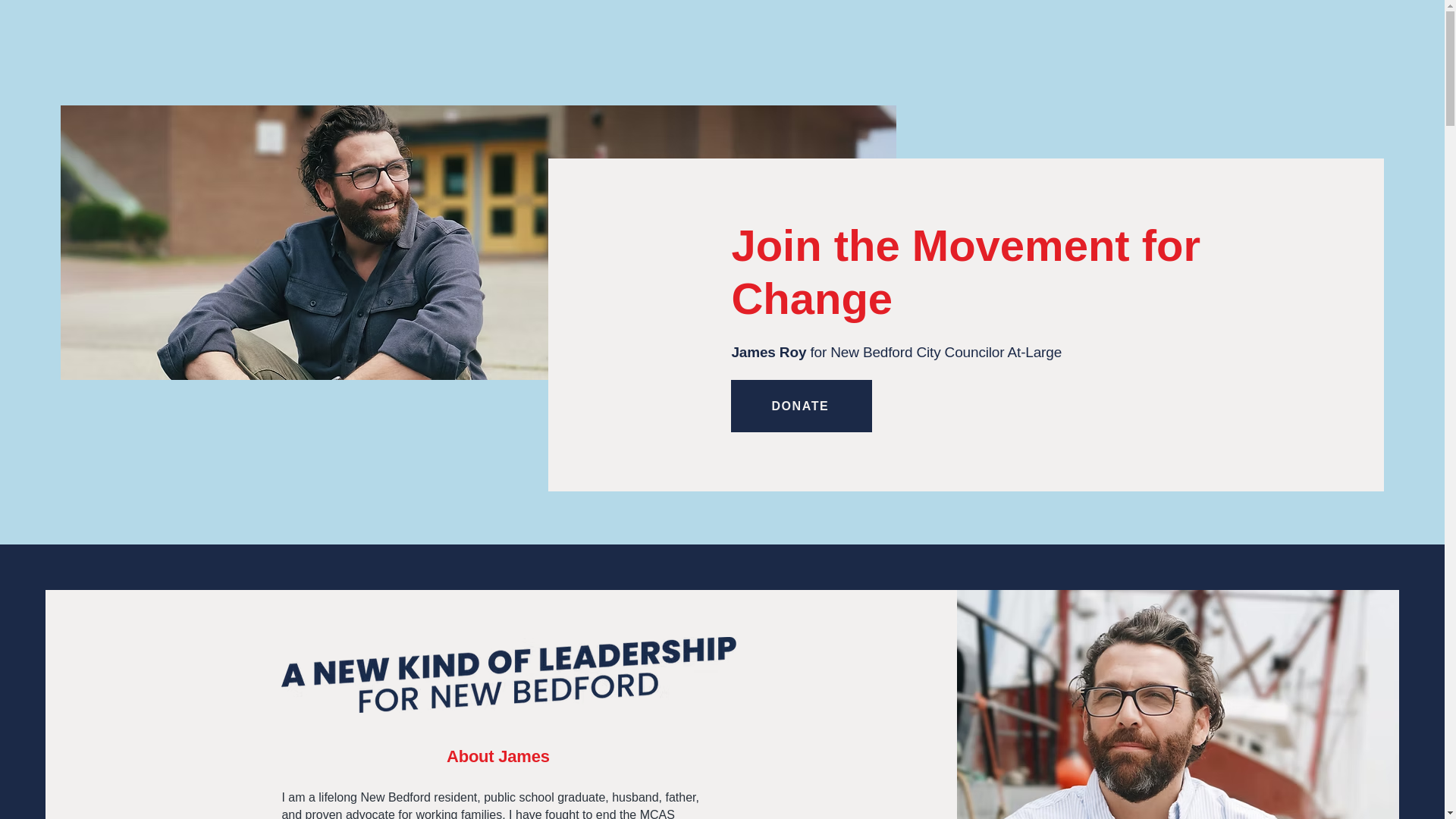 website screenshot of https://votejamesroy.com/