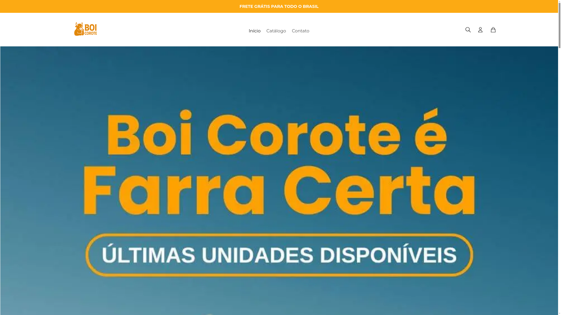 website screenshot of https://boiicoorote.online/