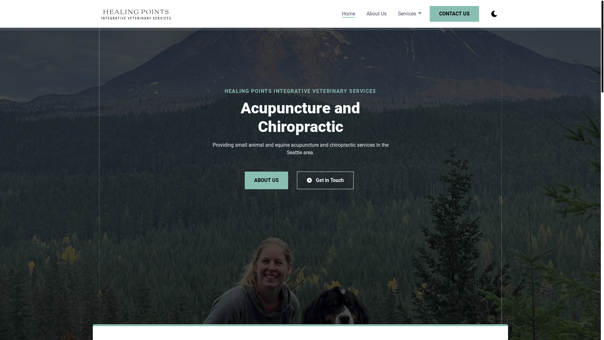 website screenshot of https://stequis.vet/