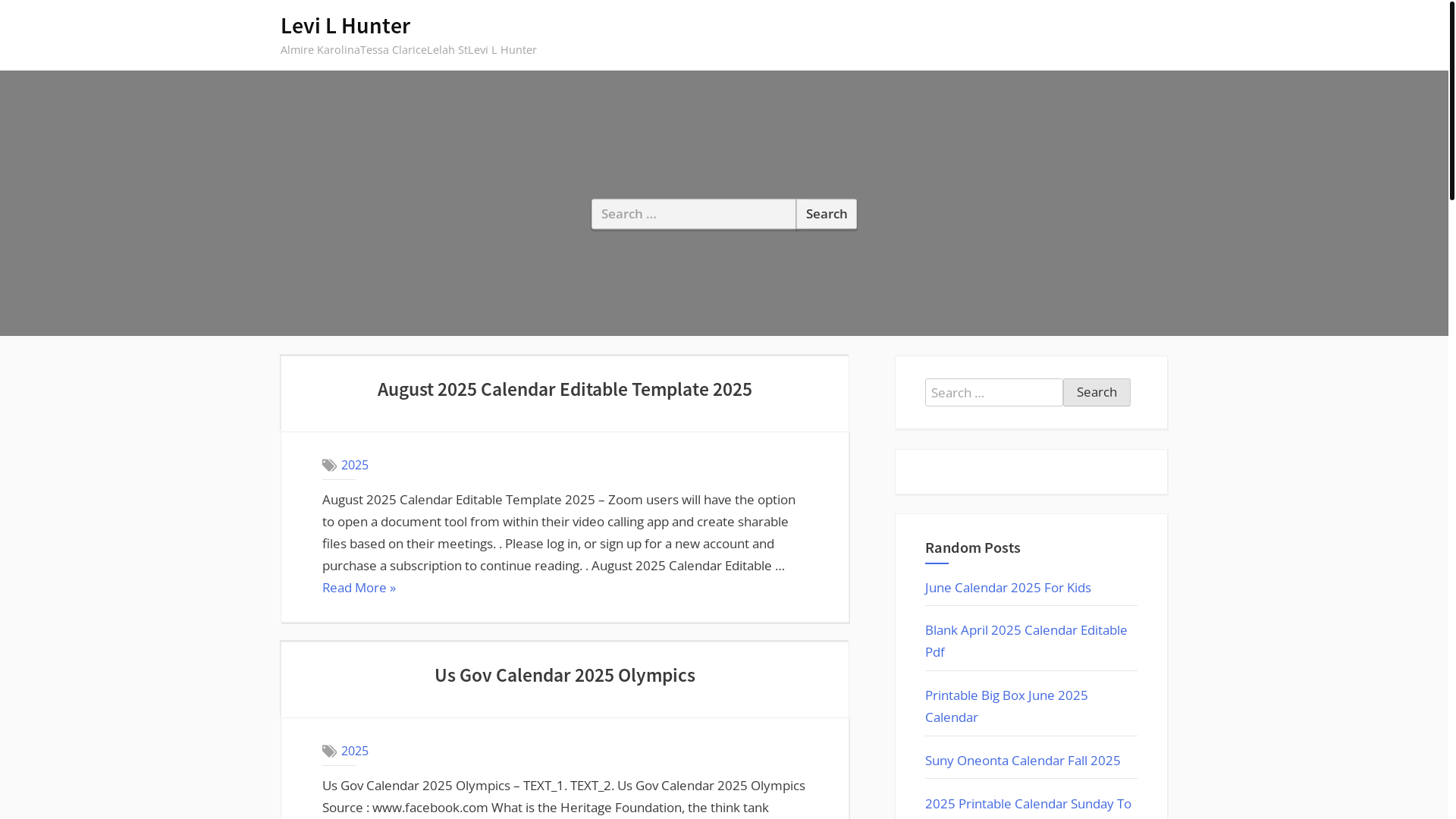website screenshot of https://levilhunter.pages.dev/