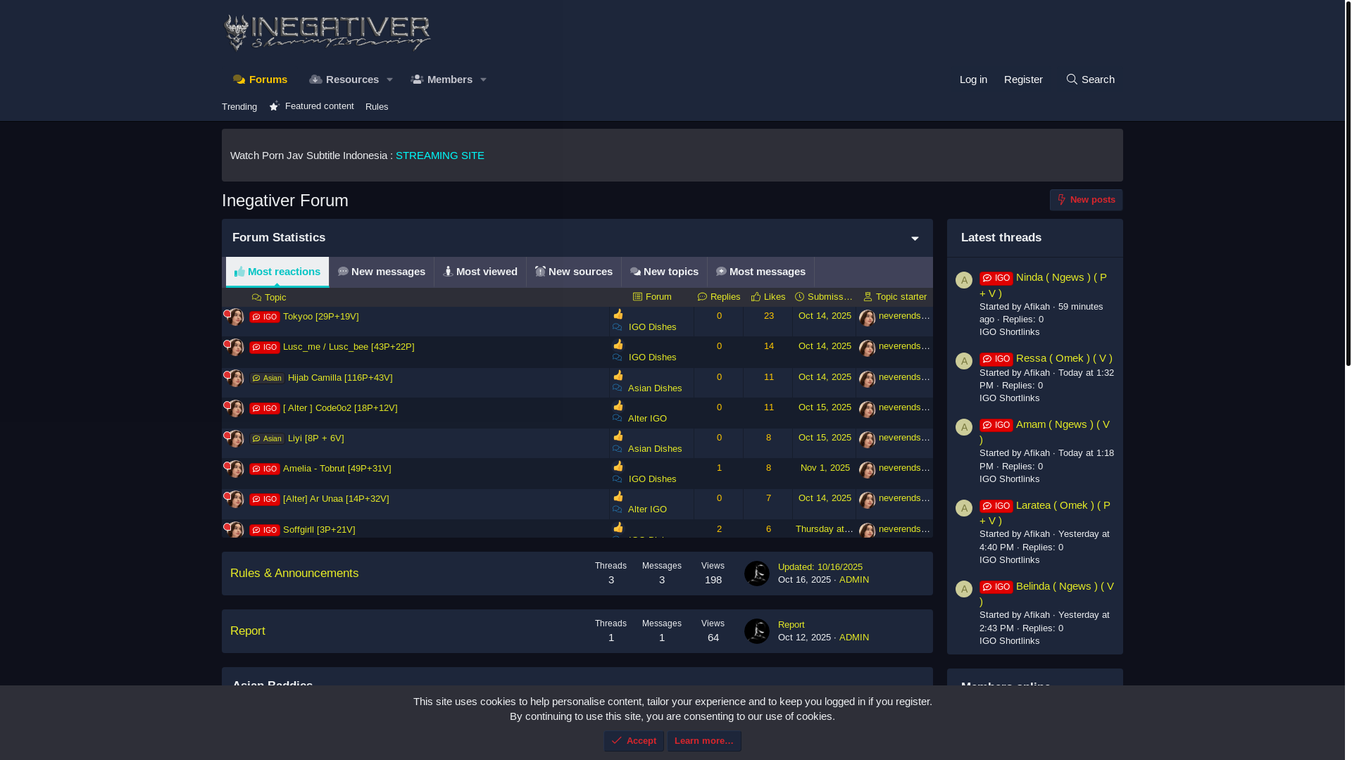 website screenshot of https://inegative.net/