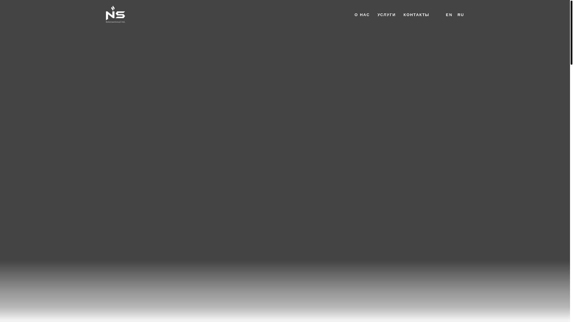 website screenshot of https://nsglobaltm.com/