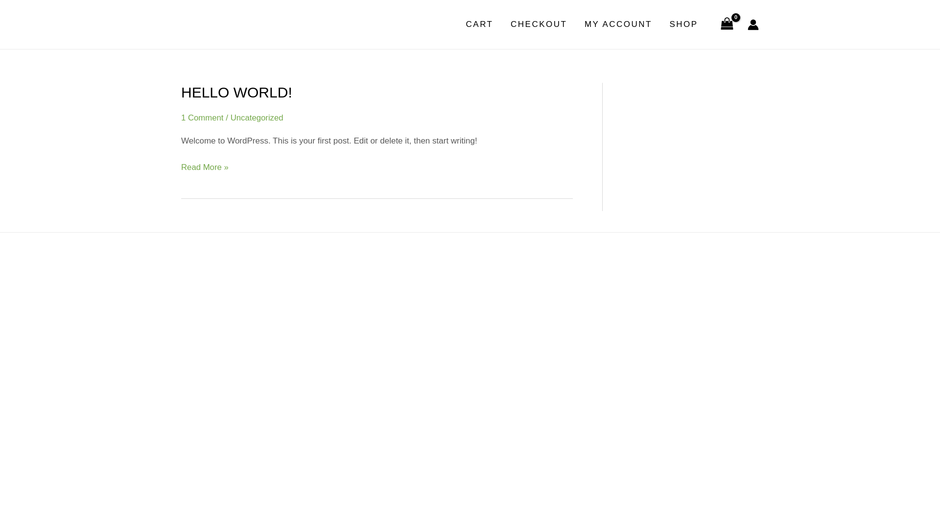 website screenshot of https://planstayspackage.com/
