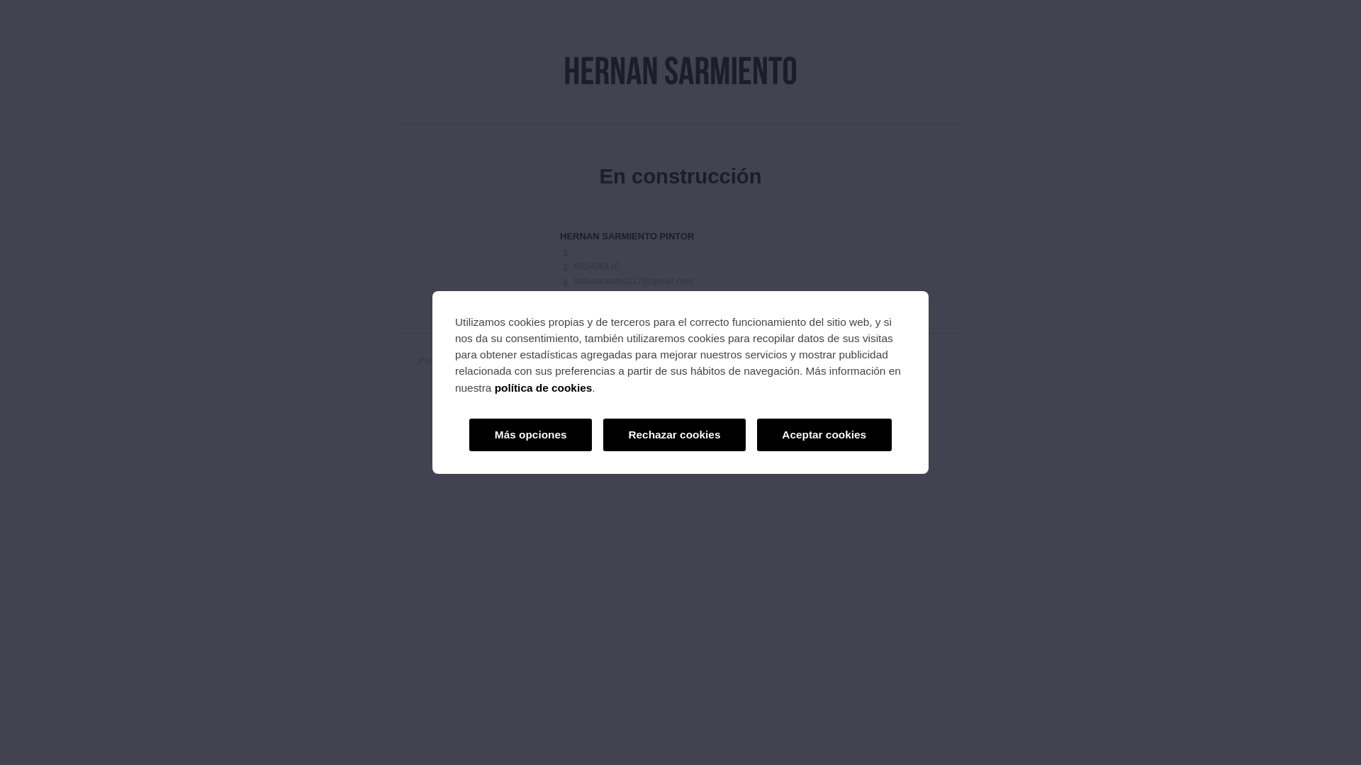 website screenshot of https://hernansarmientopintor.com/