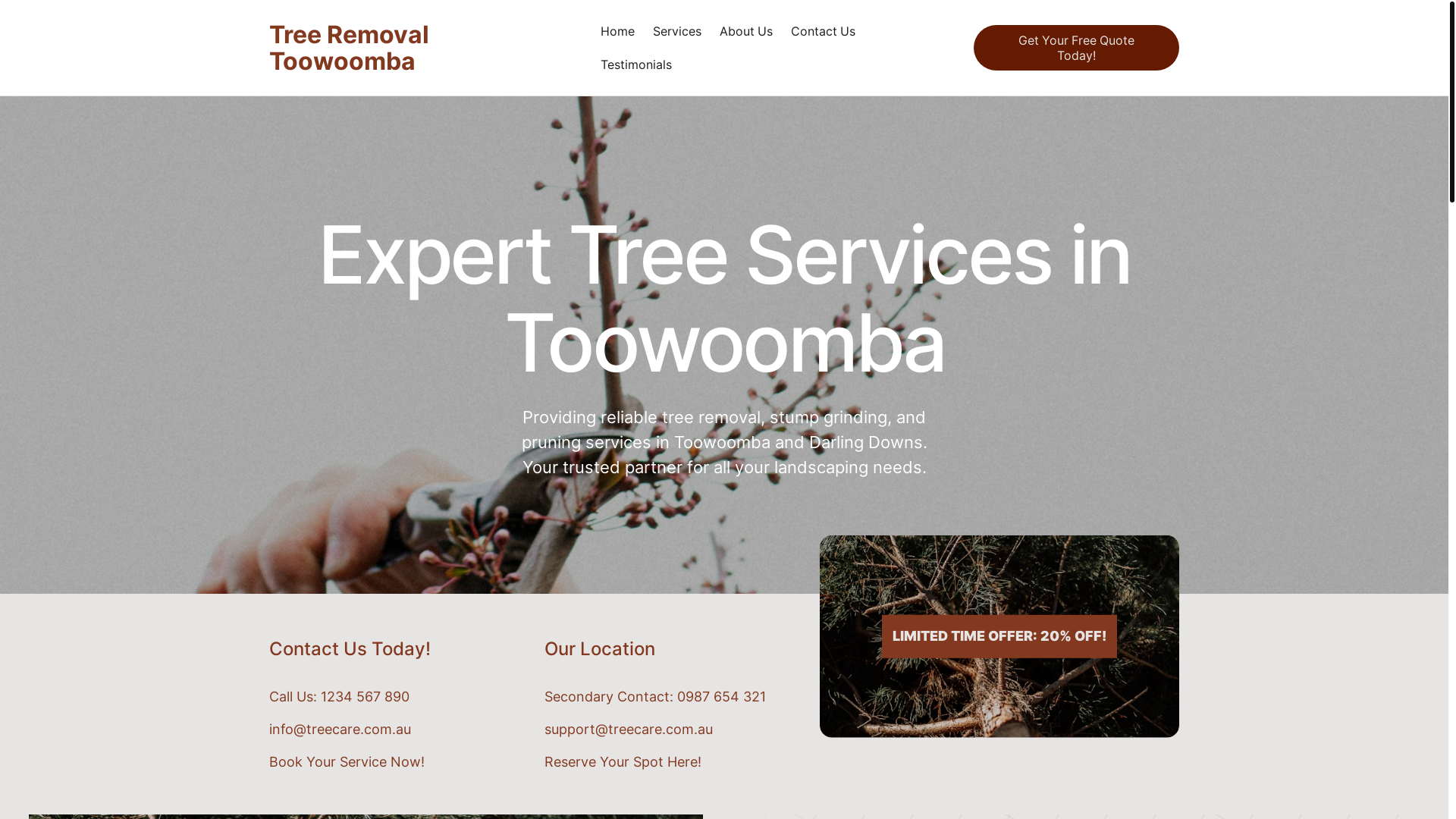 website screenshot of https://treeremovalintoowoomba.com.au/