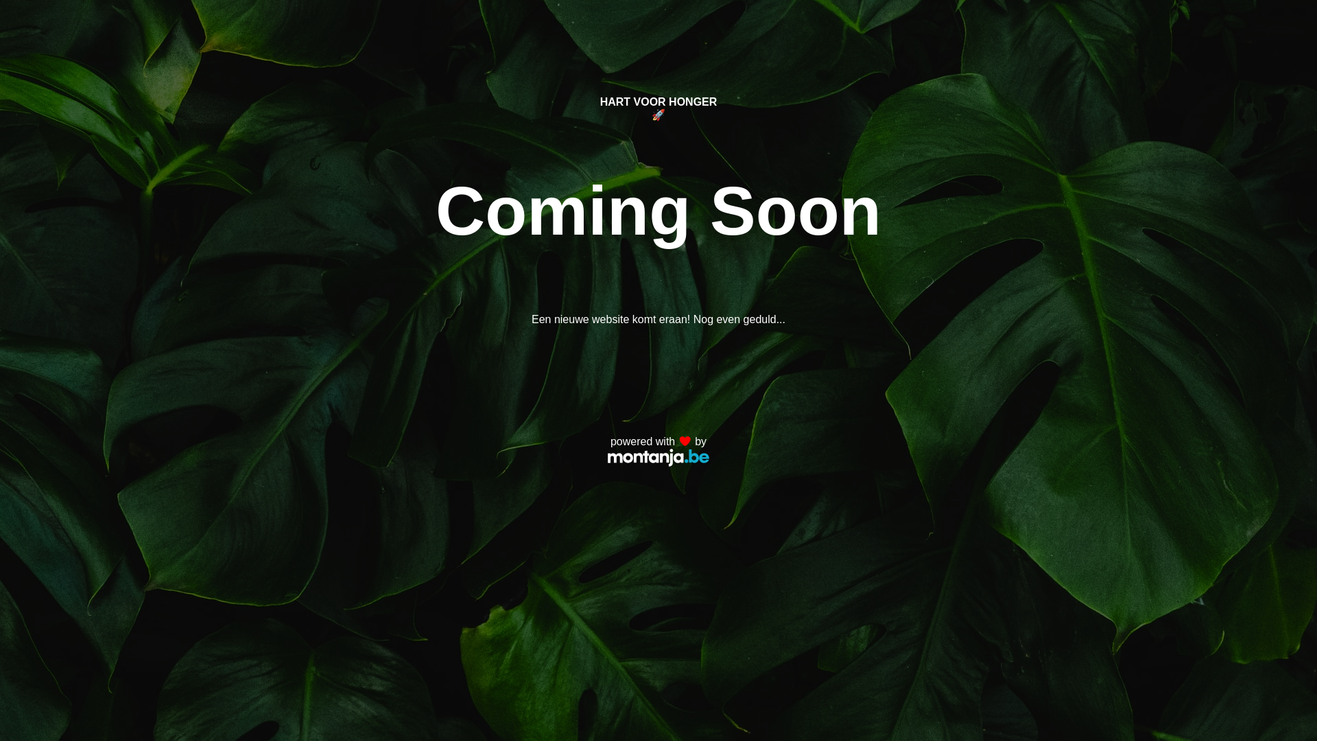 website screenshot of https://hartvoorhonger.be/