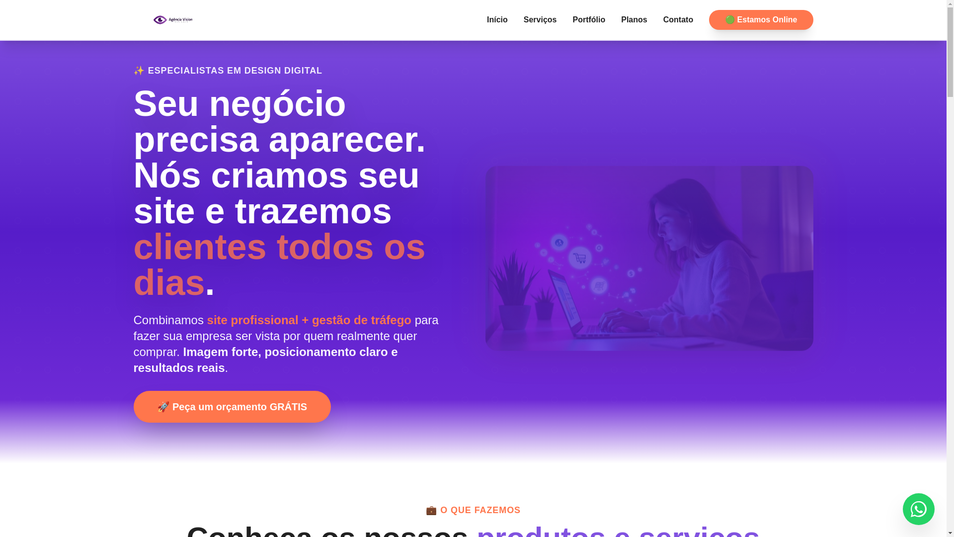 website screenshot of https://agenciavisiondesigner.com.br/
