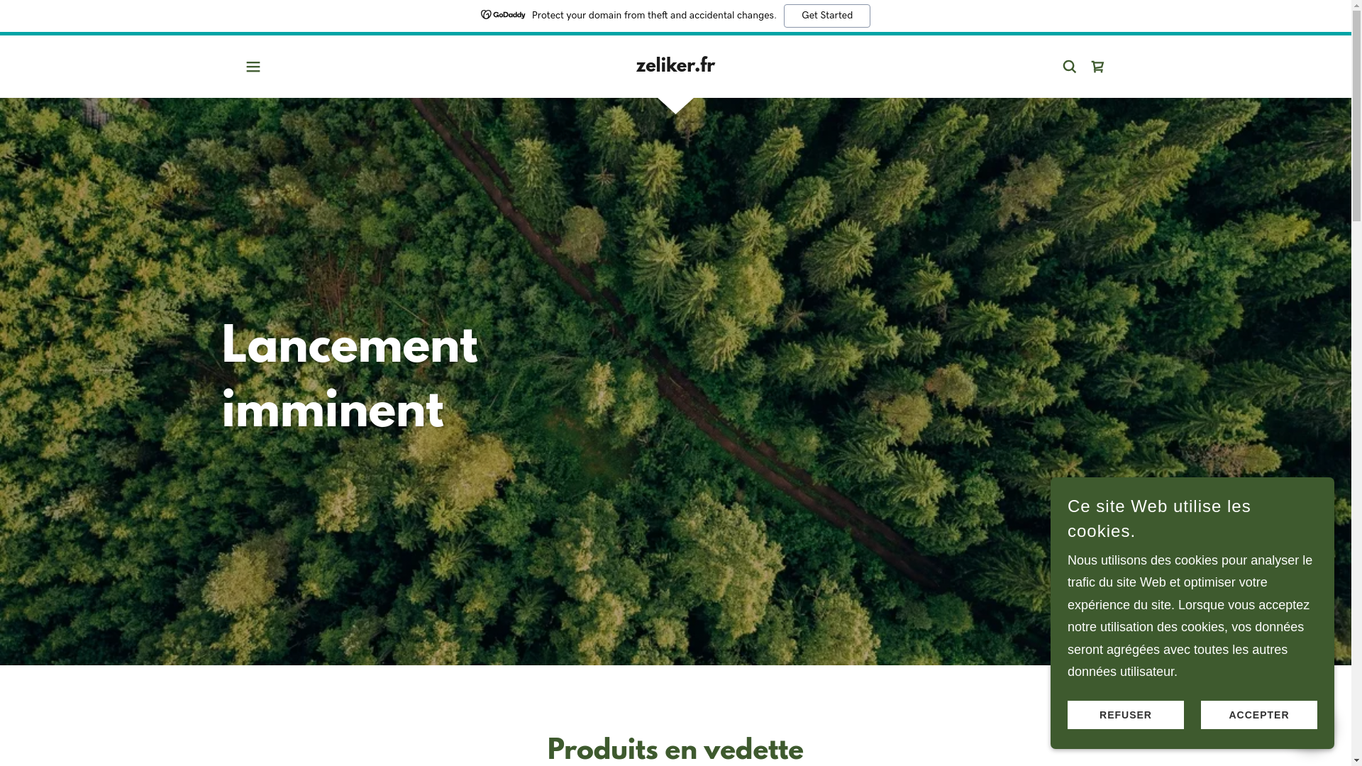website screenshot of https://zeliker.fr/