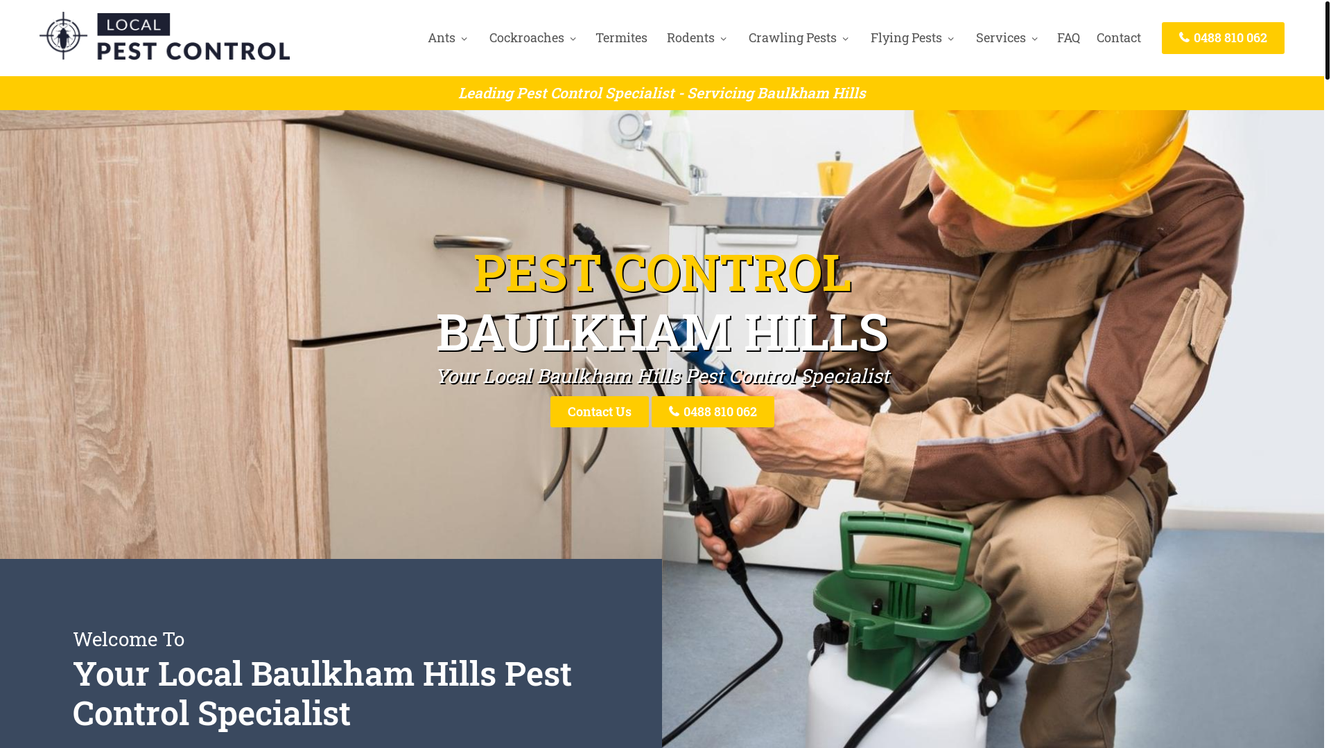 website screenshot of https://jtpestcontrolbaulkhamhills-com-au.pages.dev/