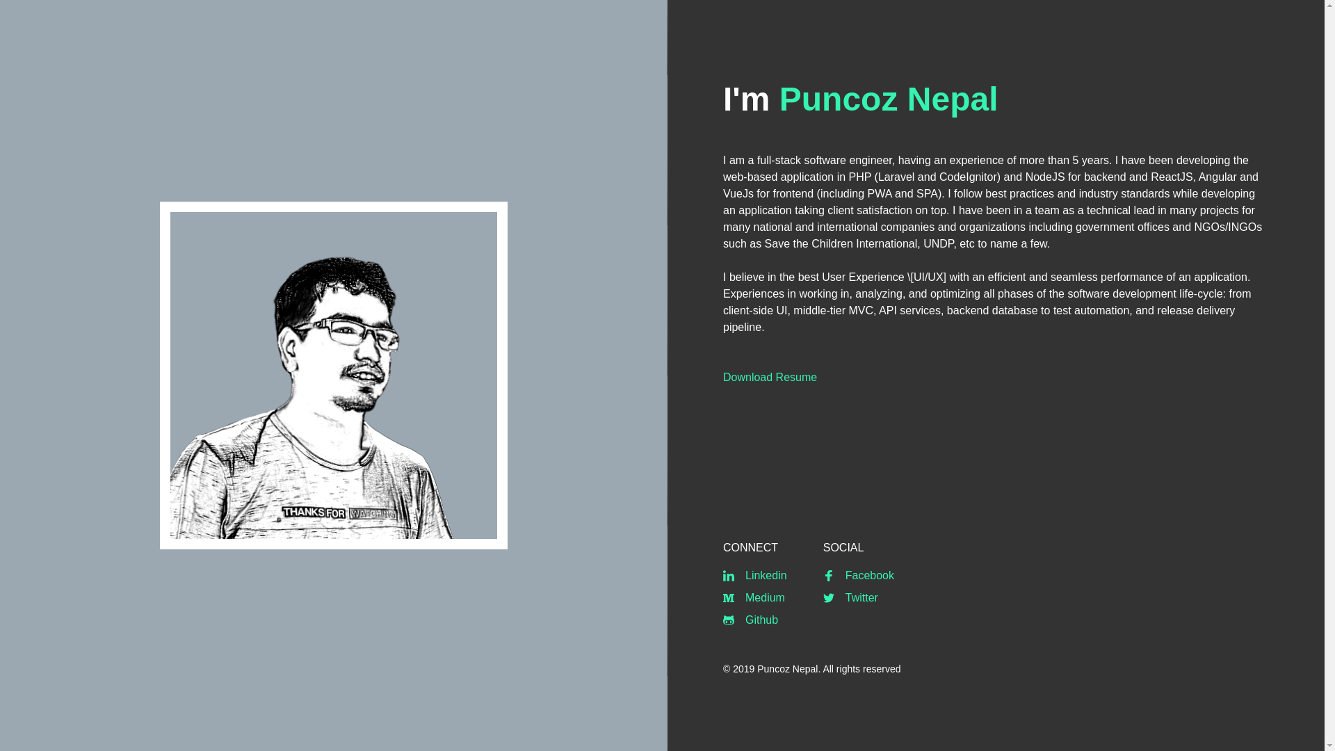 website screenshot of https://nepal.puncoz.com/