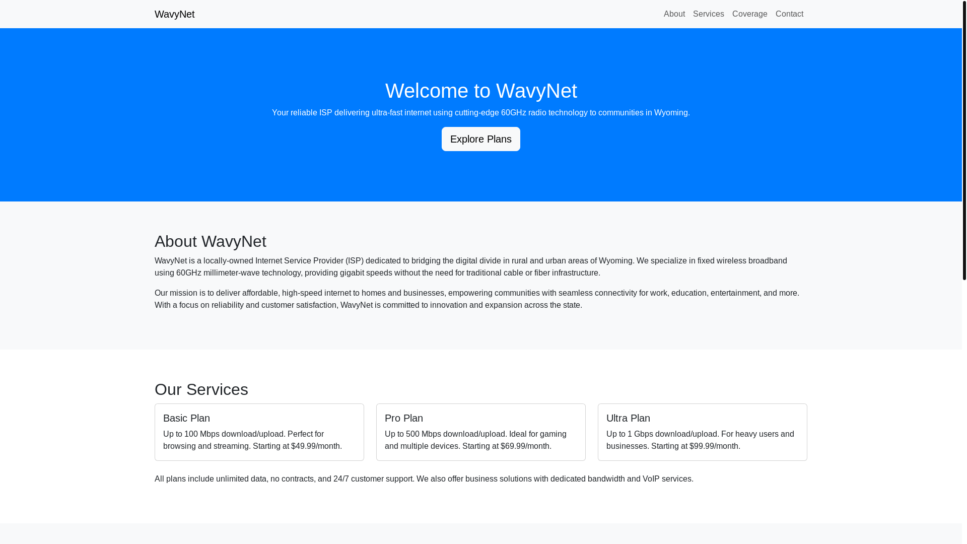 website screenshot of https://wavynet.us/