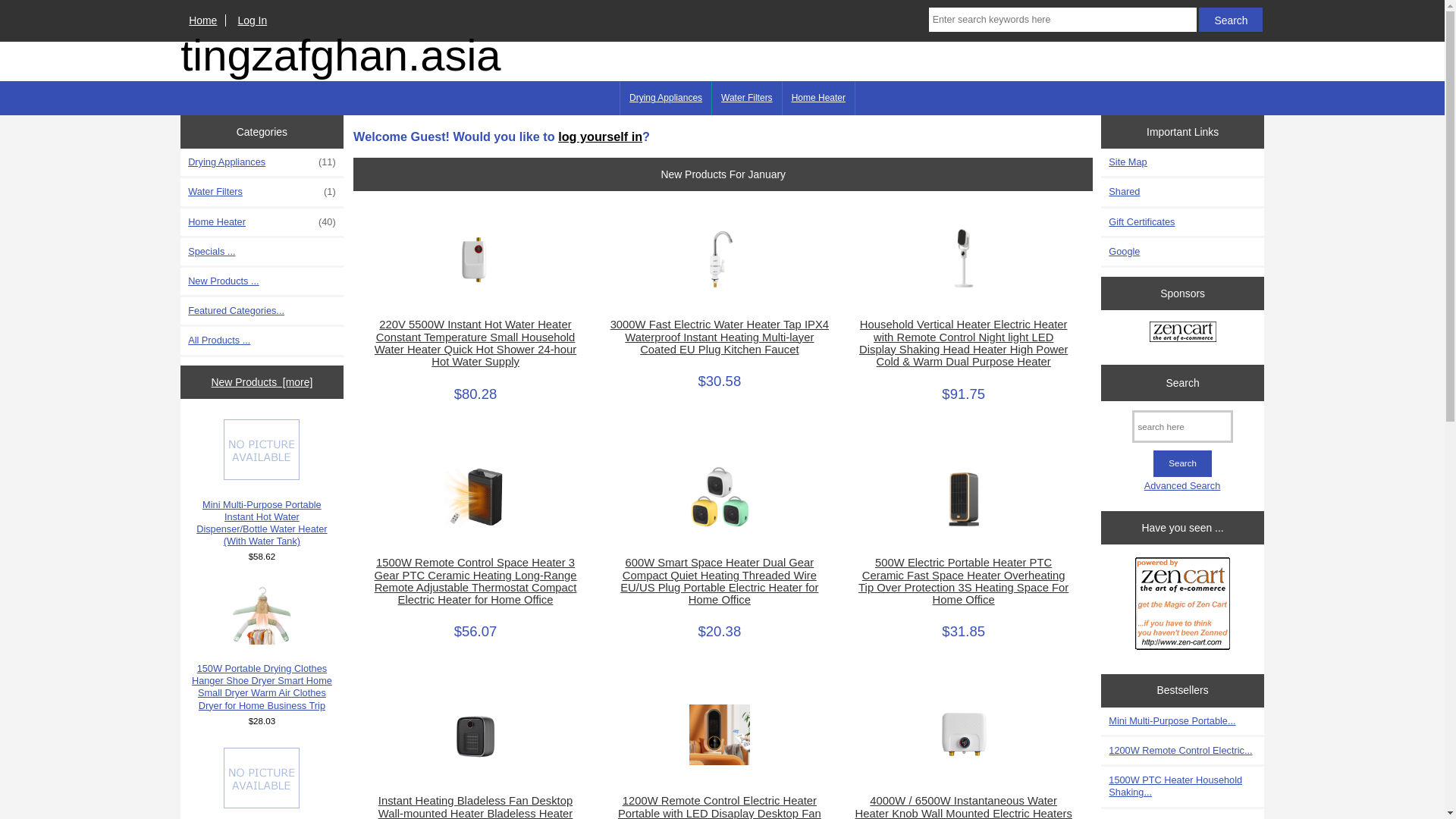 website screenshot of https://tingzafghan.asia/