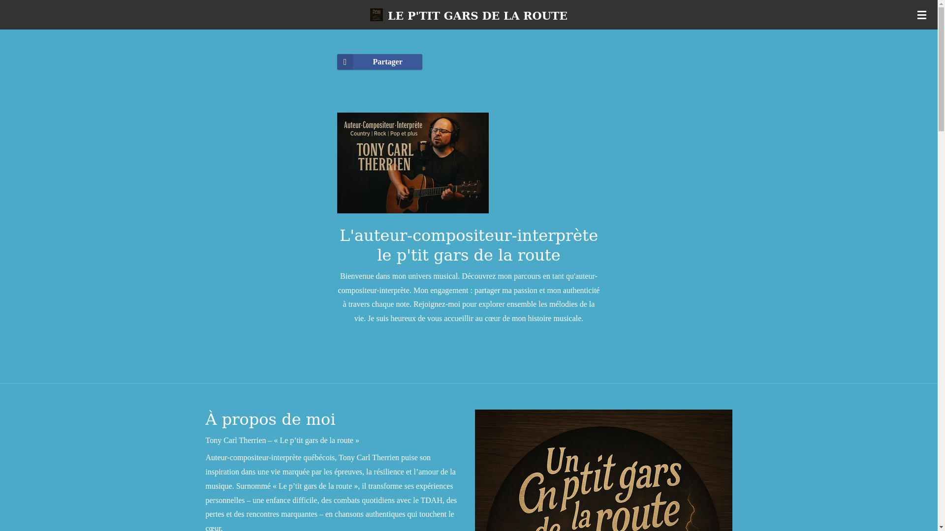 website screenshot of https://le-ptit-gars-de-la-route.net/