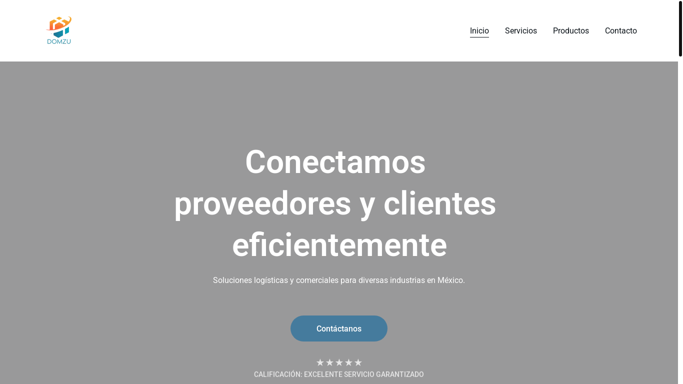 website screenshot of https://domzuserviciosmx.com/