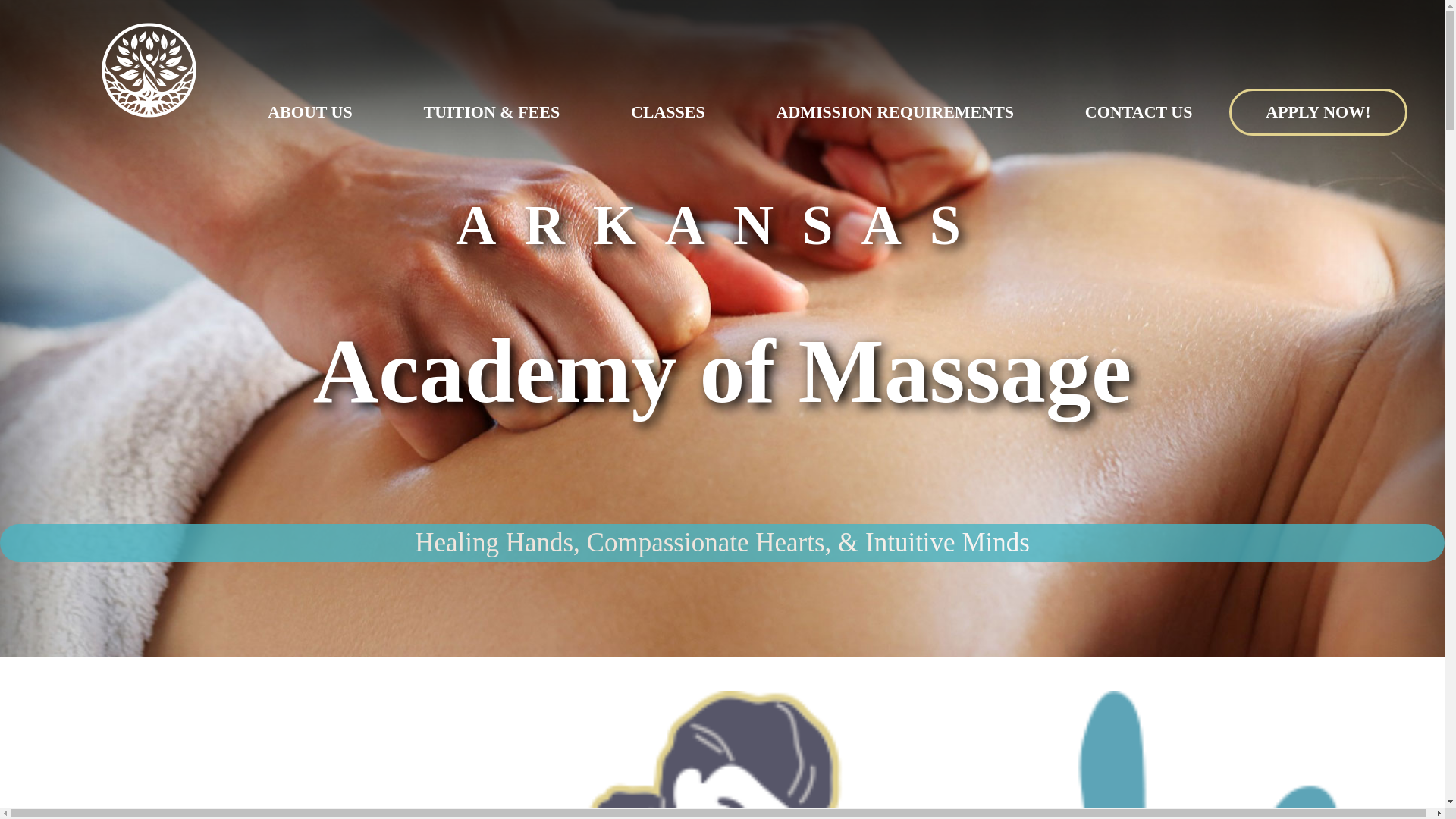 website screenshot of https://idmprobronze.us/