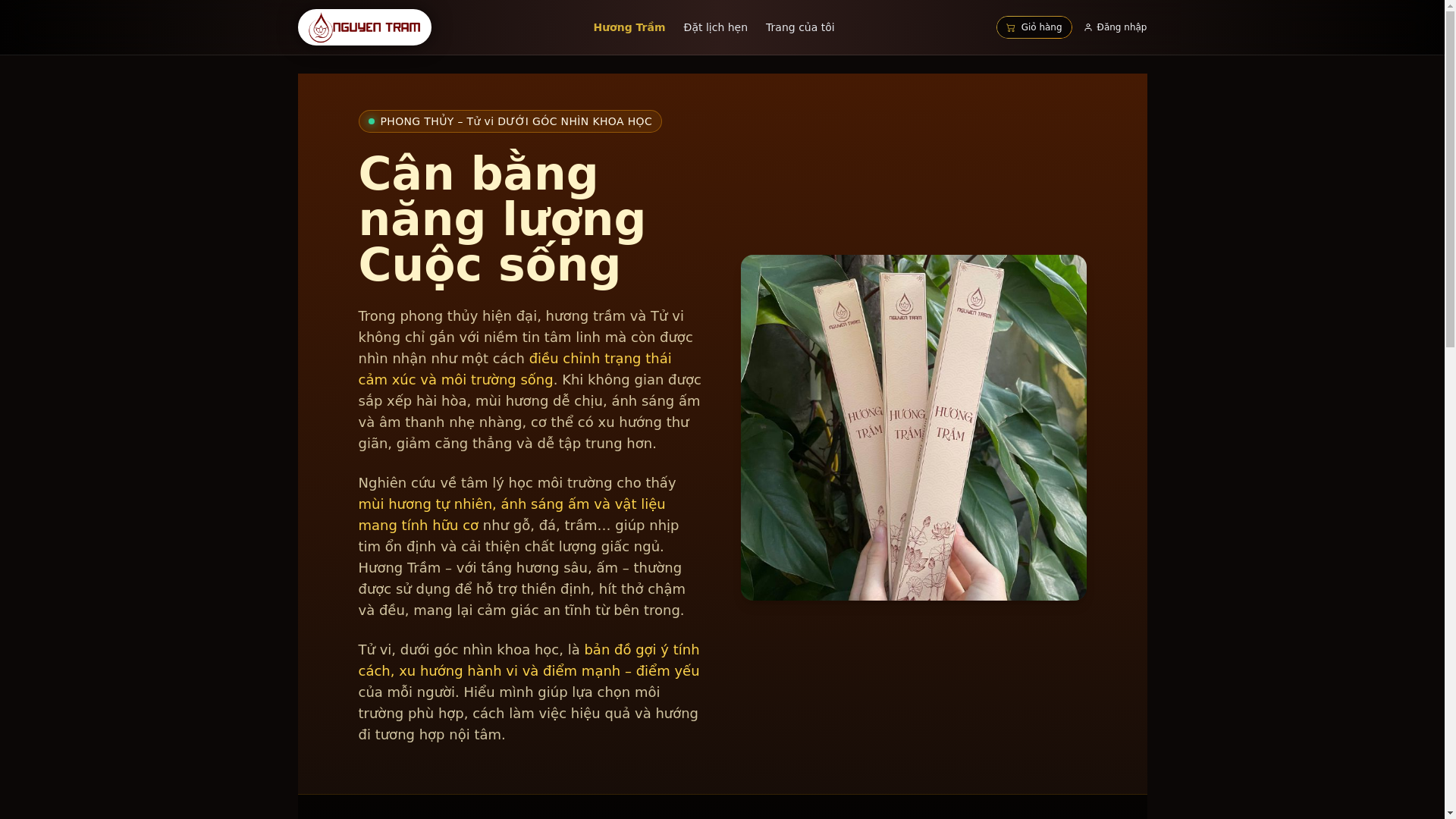 website screenshot of https://tuvingannguyen.com/