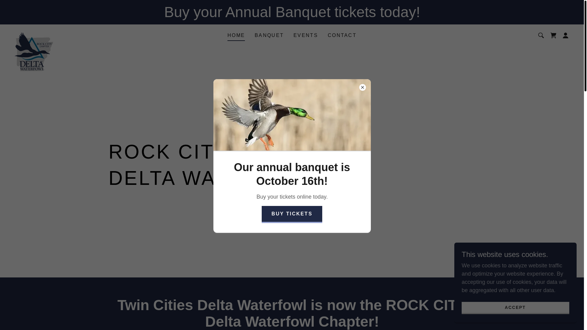 website screenshot of https://rockcitydw.org/