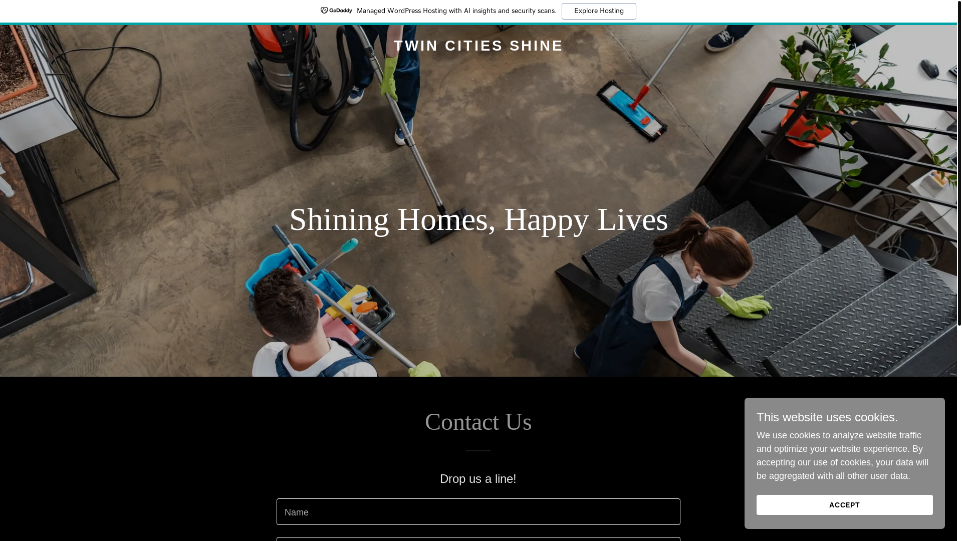 website screenshot of https://twincitishine.com/