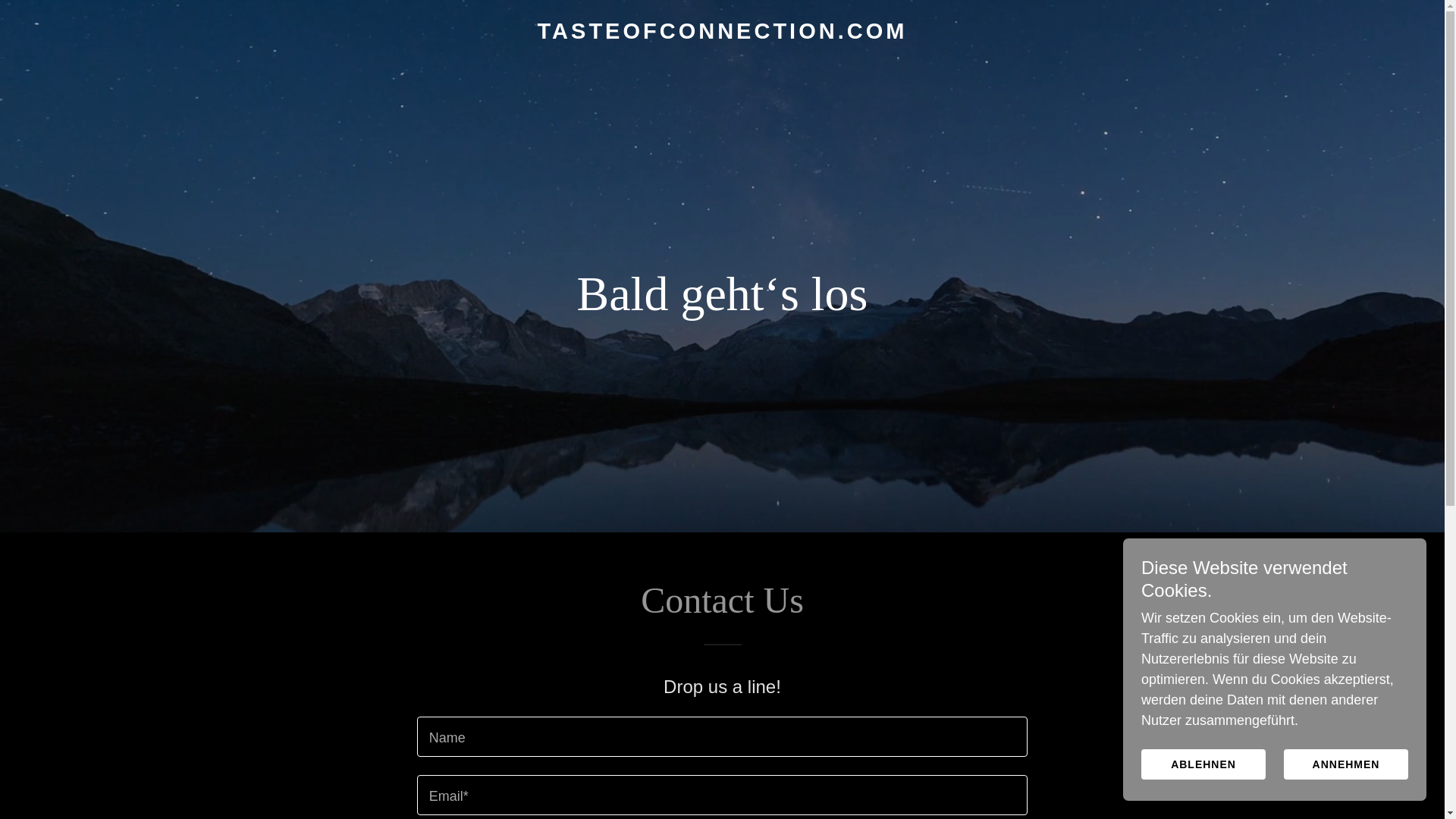 website screenshot of https://tasteofconnection.com/