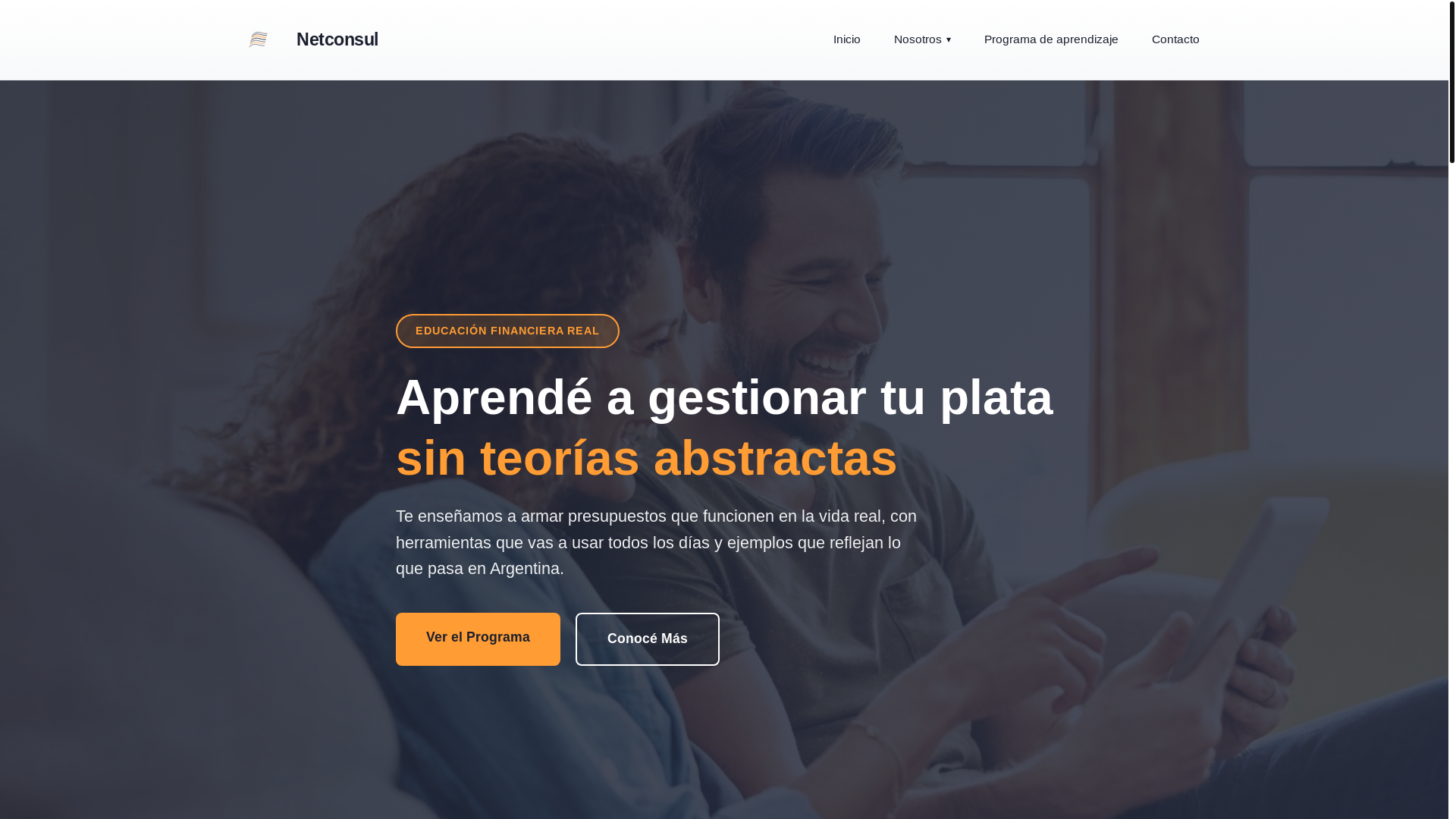 website screenshot of https://netconsul.info/