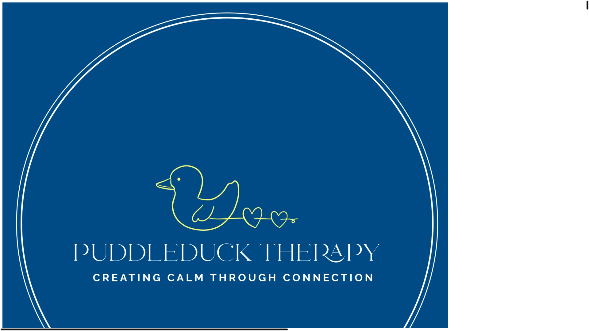 website screenshot of https://puddleducktherapy.com.au/