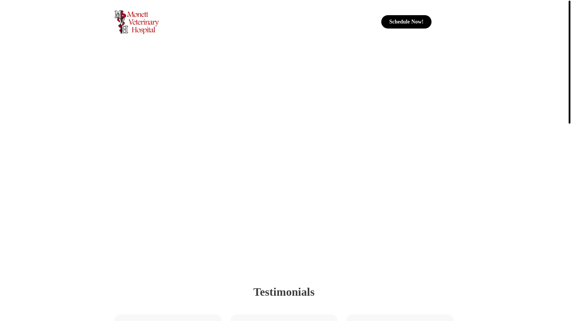 website screenshot of https://monettvet.net/