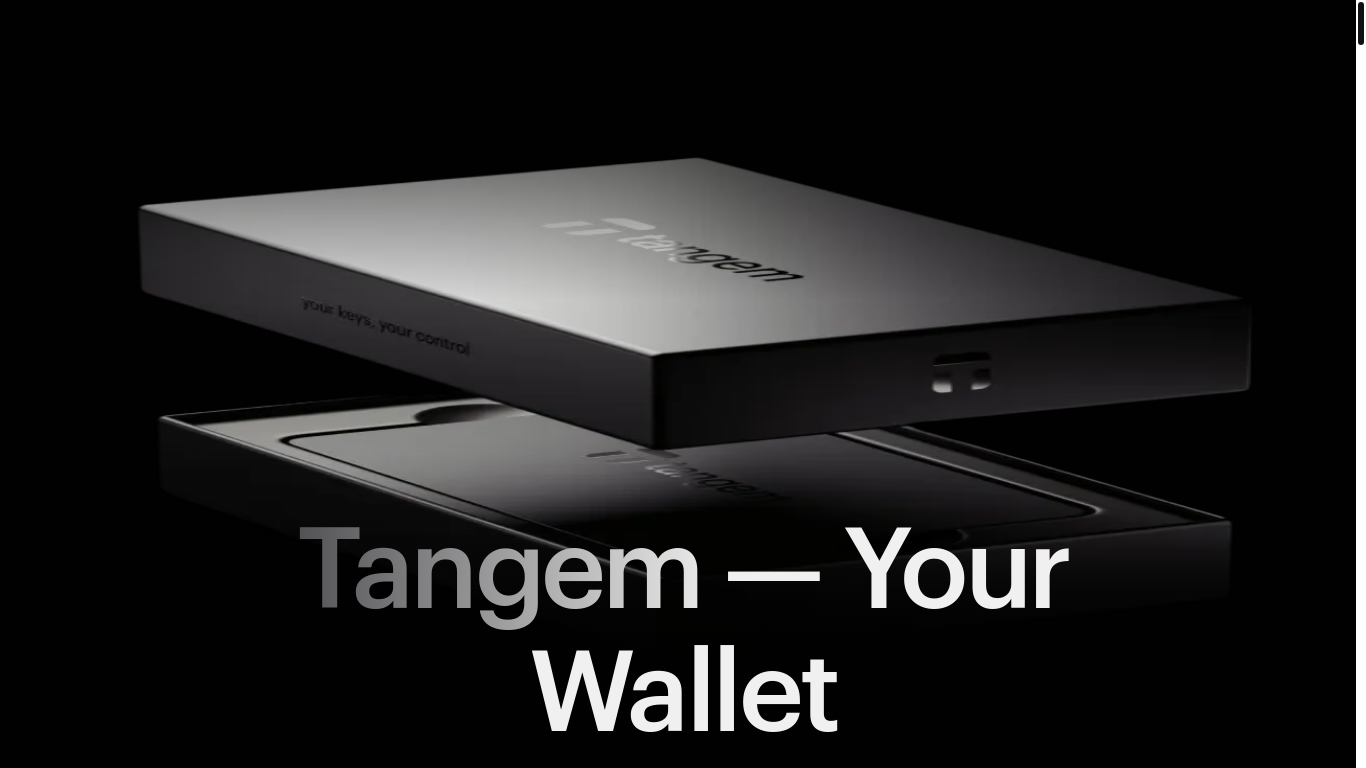 website screenshot of https://tangem.ing