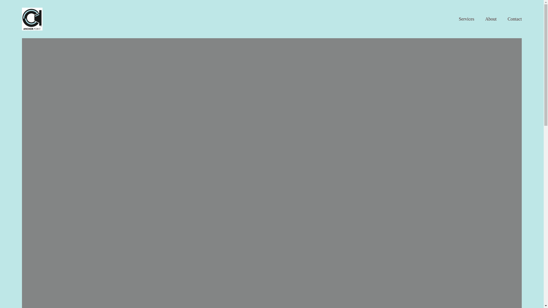 website screenshot of https://anchorpointinsurance.org/