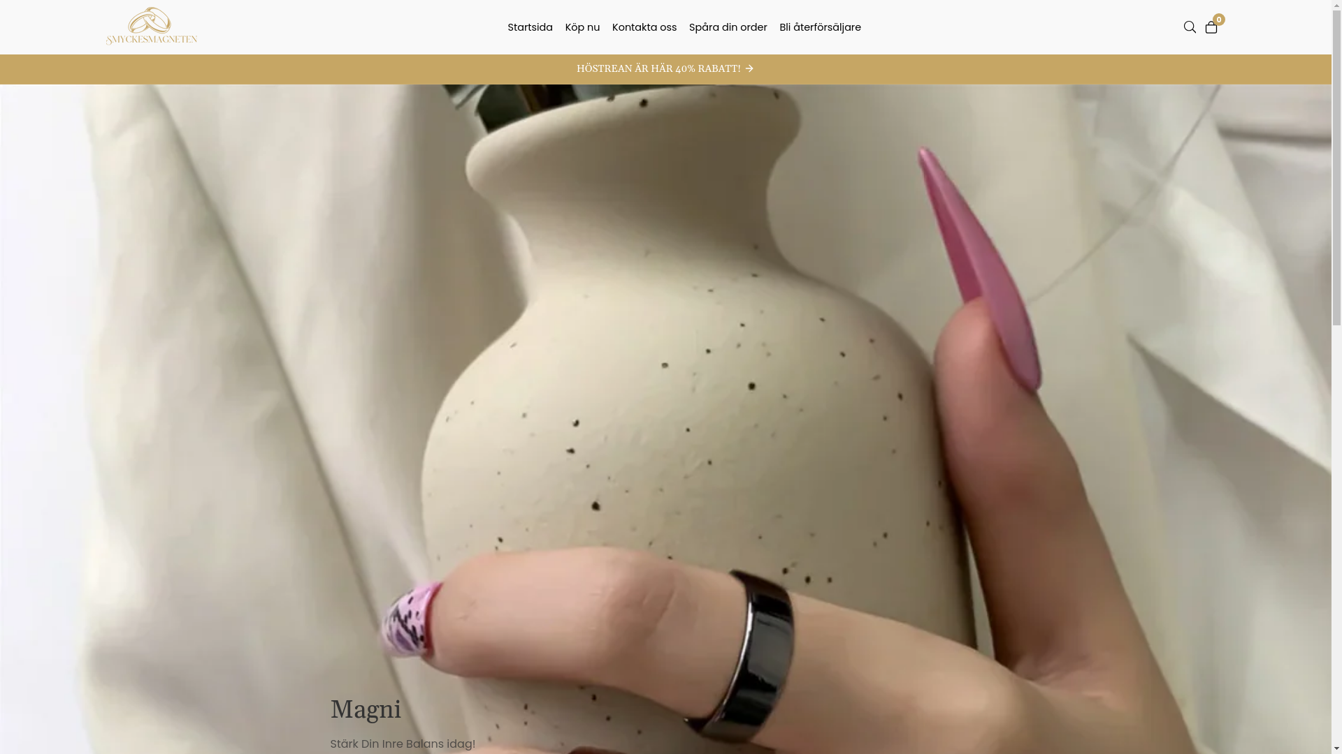 website screenshot of https://smyckesmagneten.se/