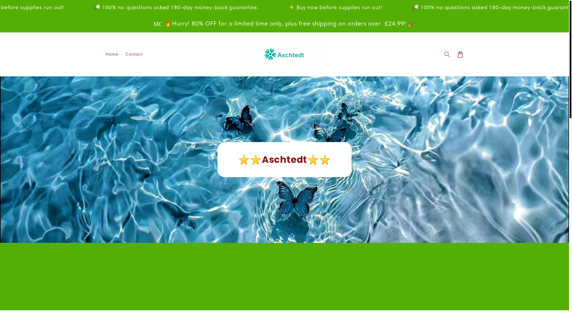 website screenshot of https://aschtedt.shop/