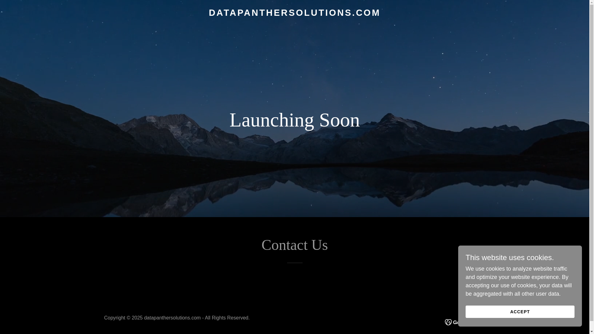 website screenshot of https://datapanthersolutions.com/