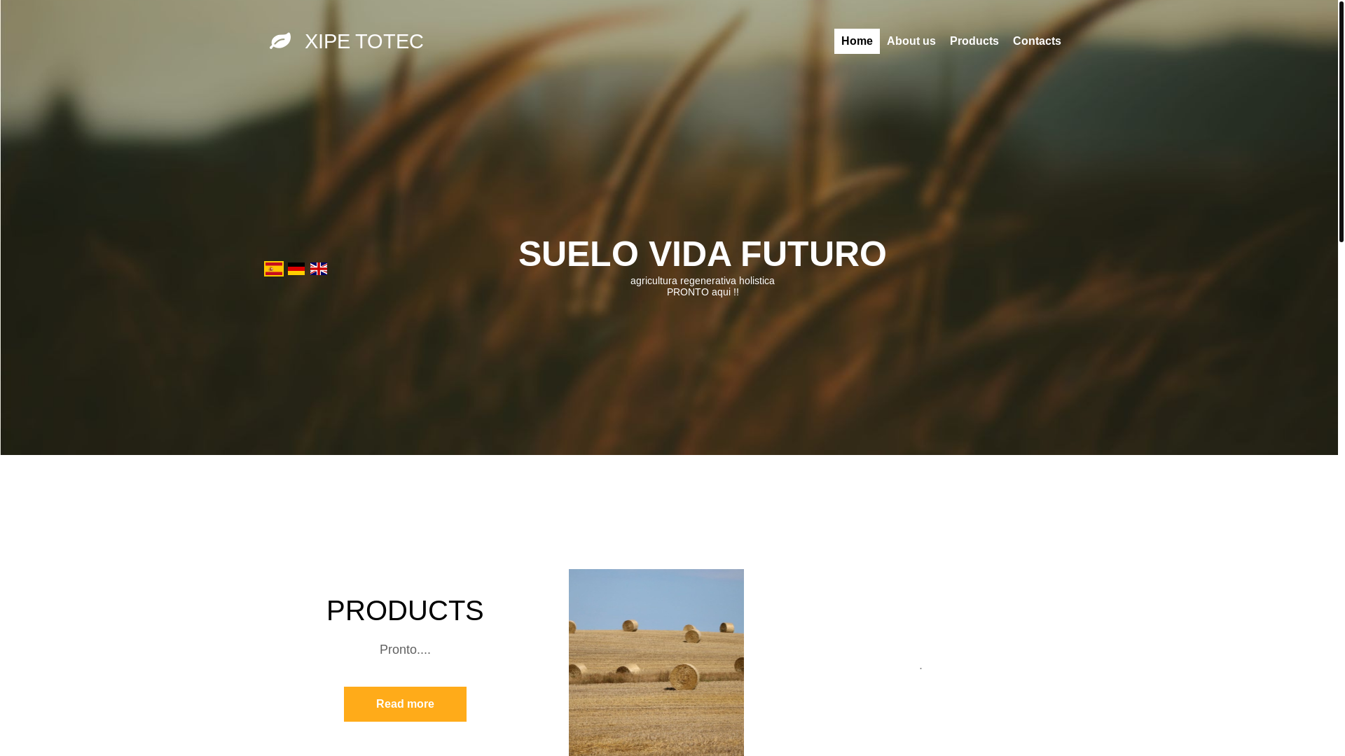 website screenshot of https://xipetotec.mx/