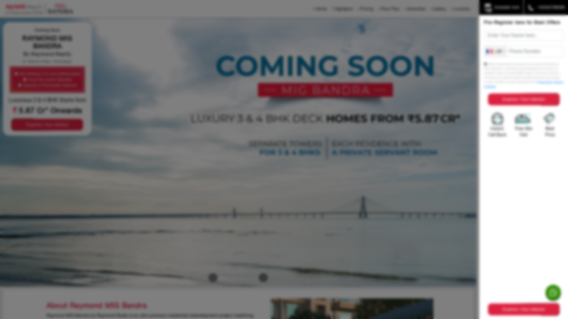 website screenshot of https://raymondskalanagarlaunch.com/