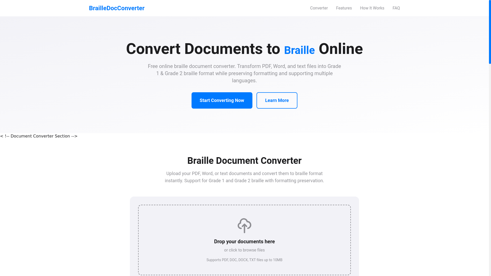 website screenshot of https://brailledocconverter.com/