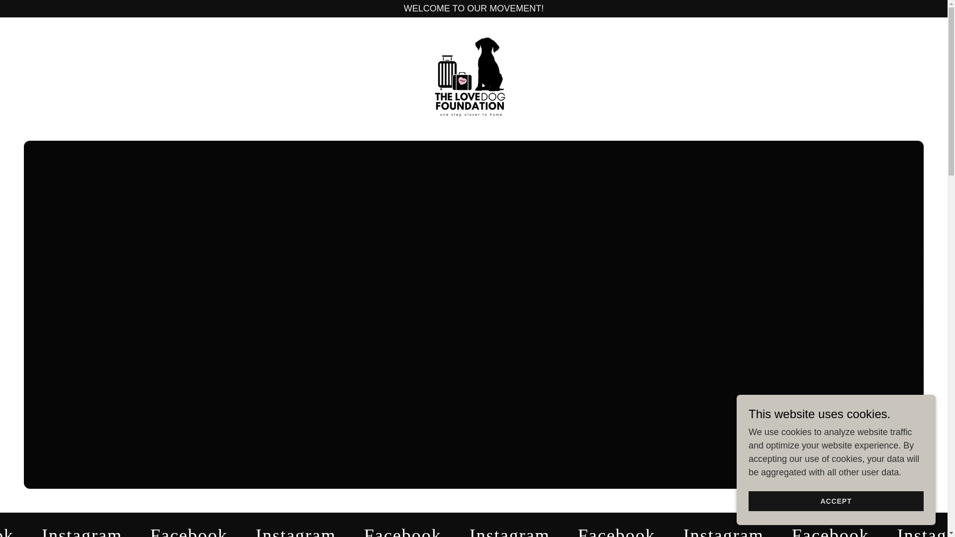 website screenshot of https://lovedogfound.org/