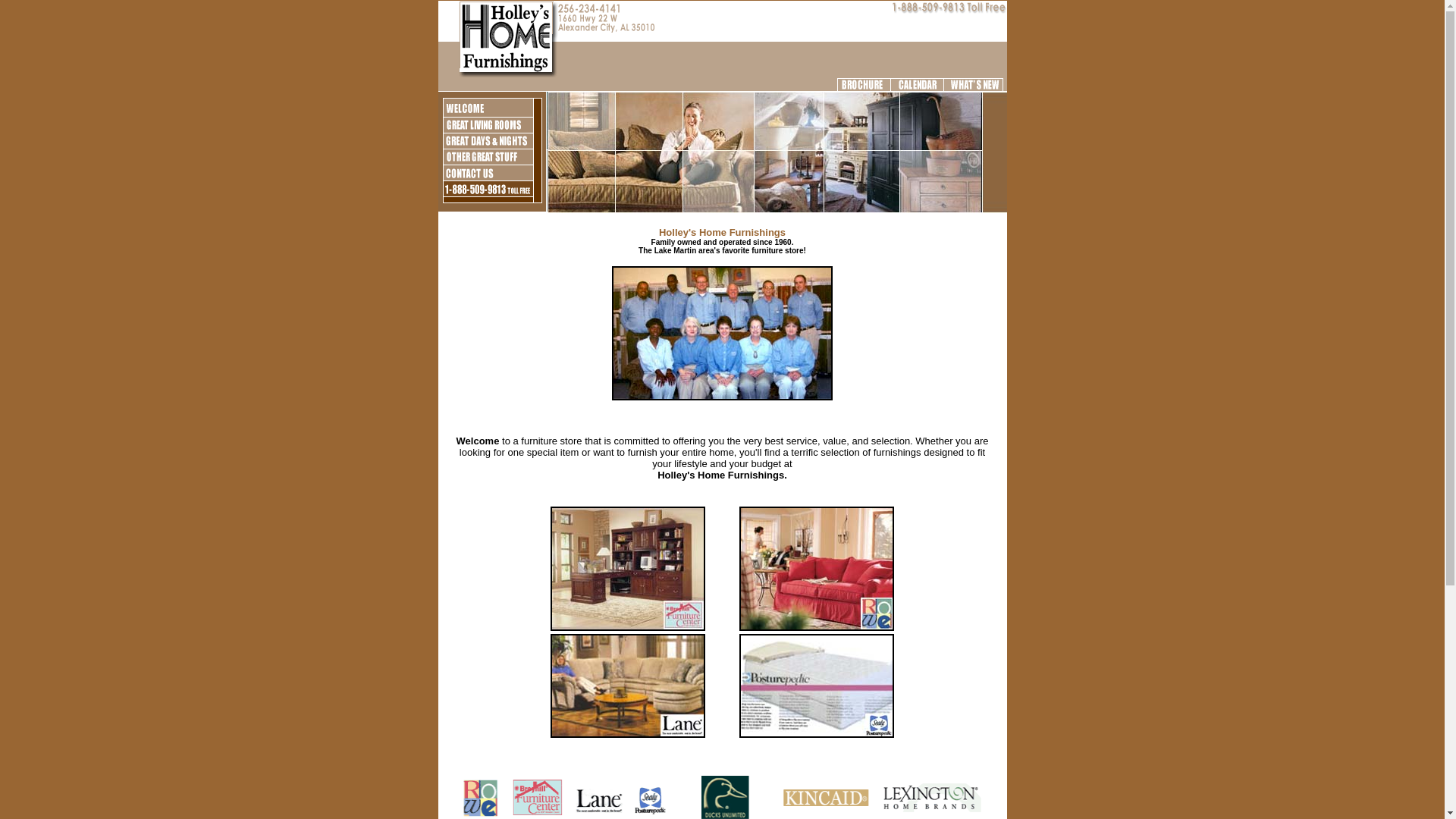 website screenshot of https://holleyshomefurnishings.pages.dev/