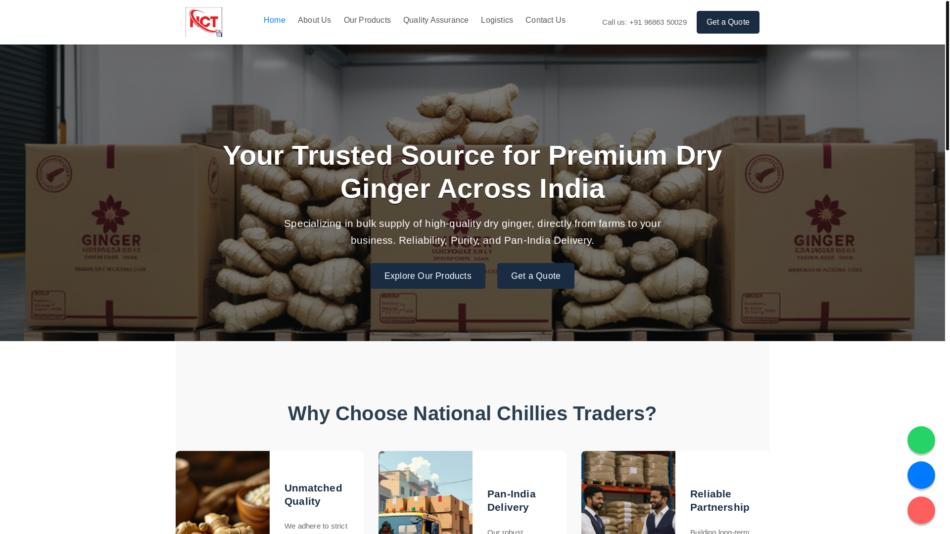 website screenshot of https://nationalchillies.in/