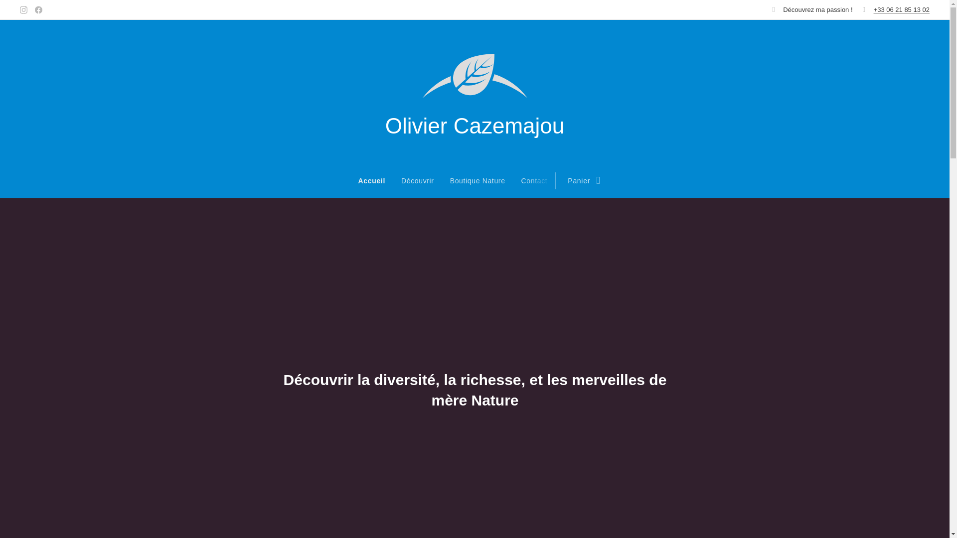 website screenshot of https://olivier-cazemajou-decouvrir.fr/