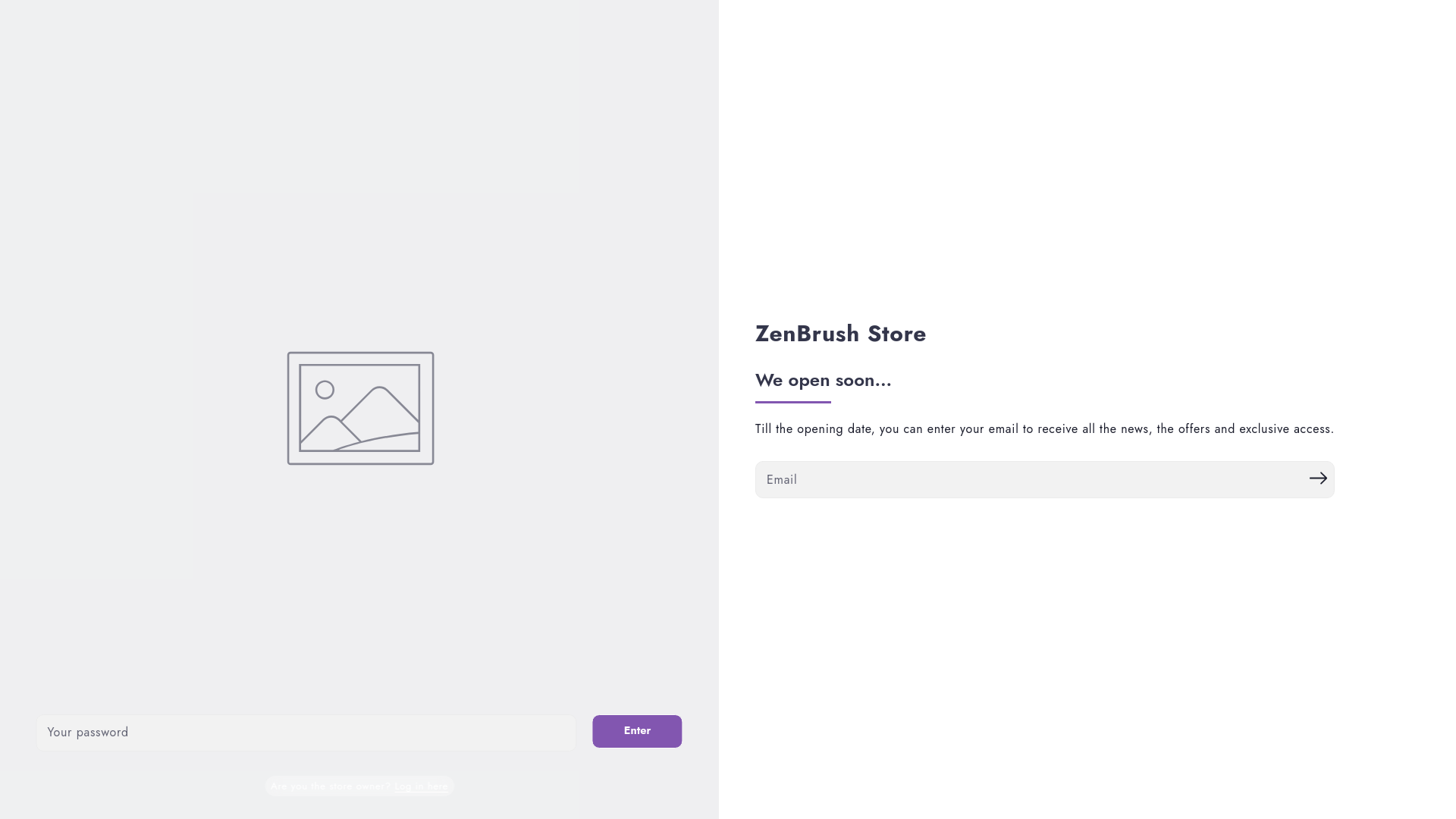 website screenshot of https://zenbrushstore.com/