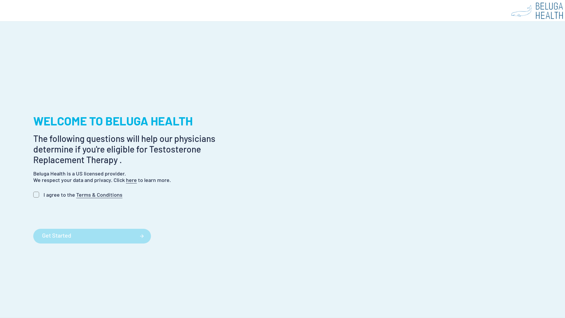 website screenshot of https://trtformtemplate.pages.dev/
