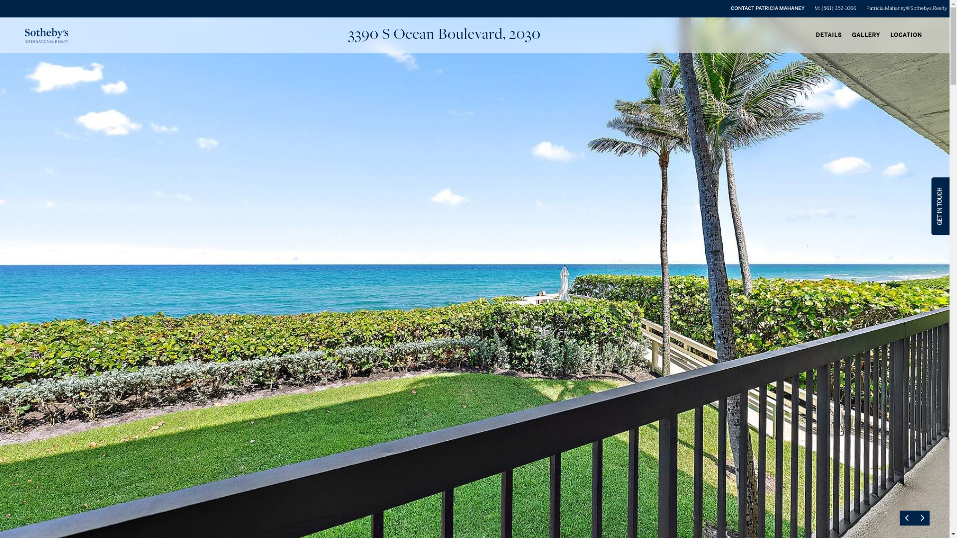 website screenshot of https://3390socean203.com/