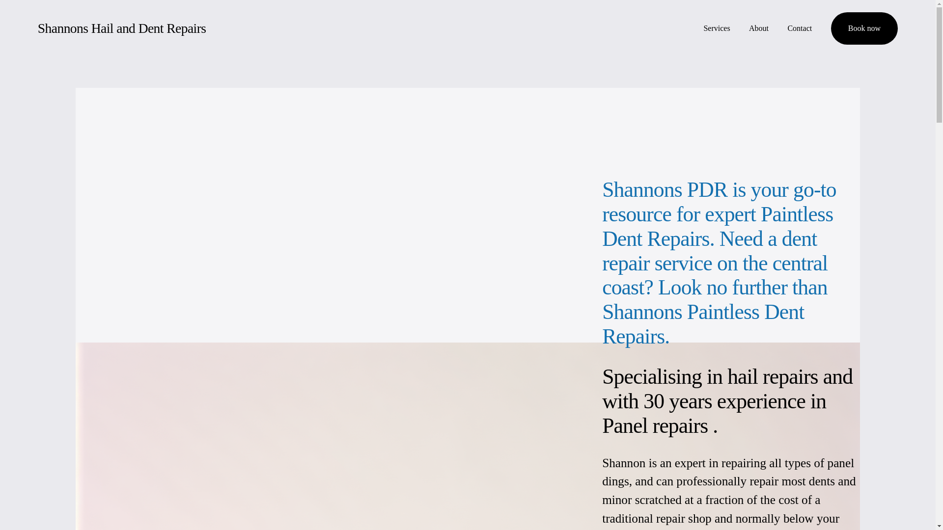 website screenshot of https://shannonshailanddentrepairs.com/