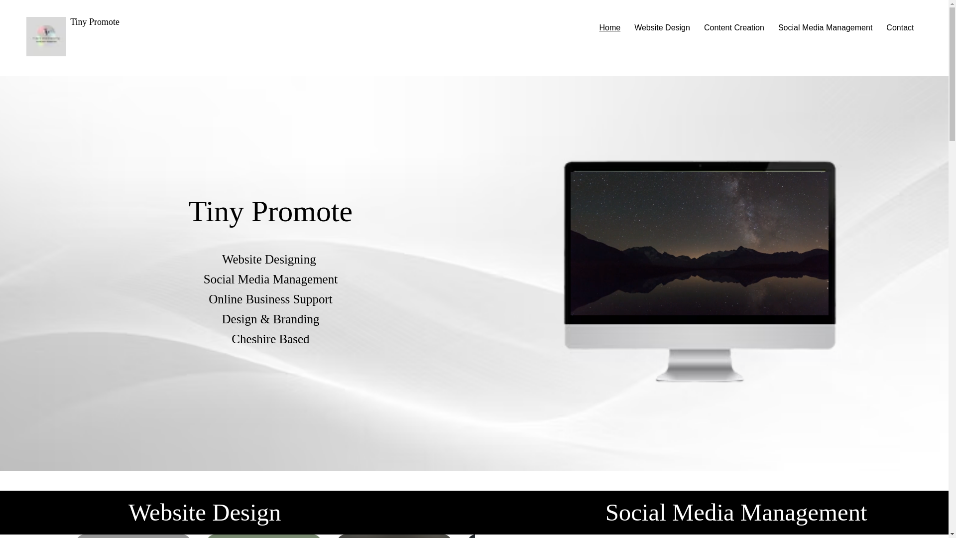 website screenshot of https://tinypromote.com/