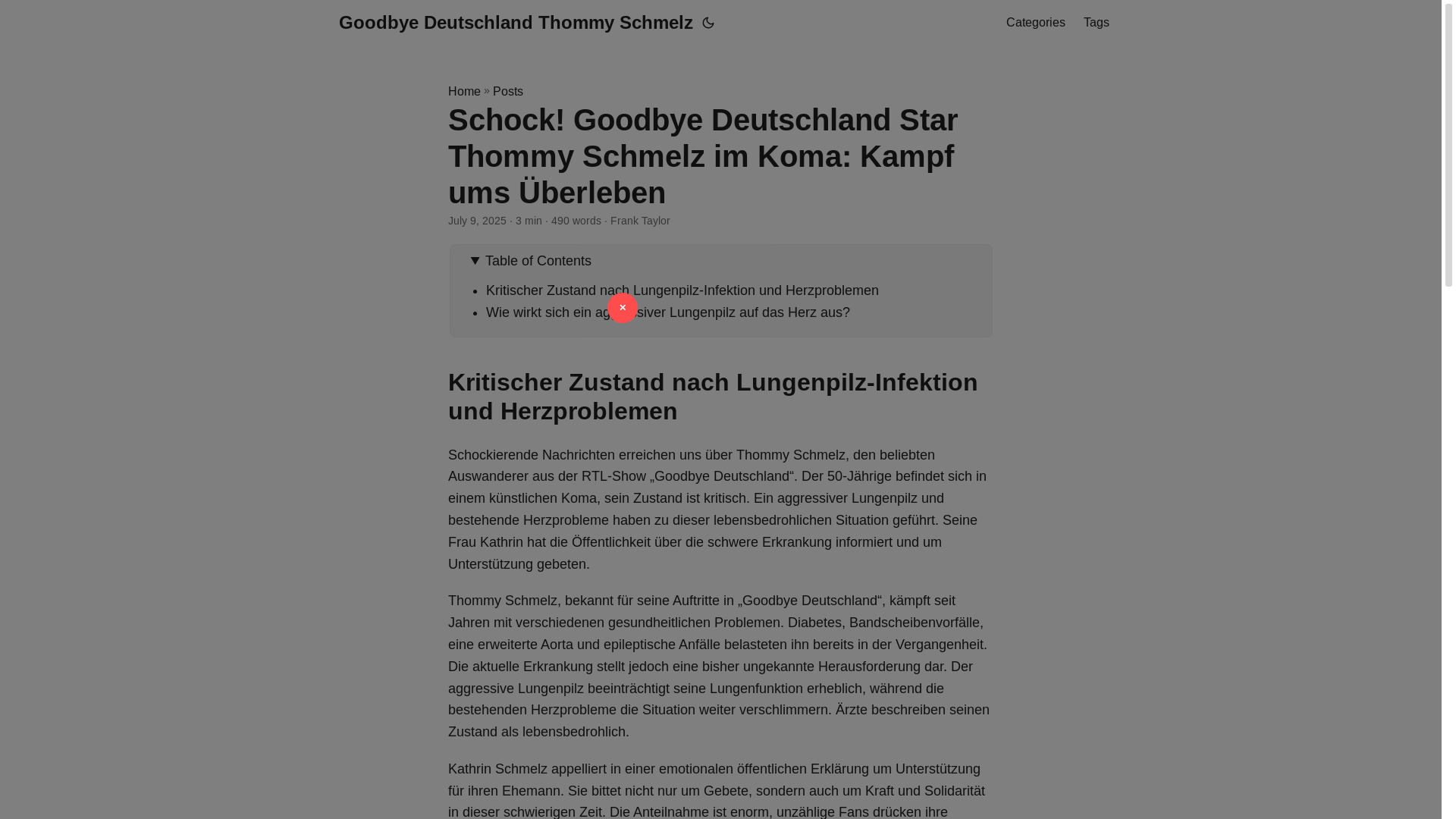 website screenshot of https://goodbye-deutschland-thommy-schmelz20250714.pages.dev/
