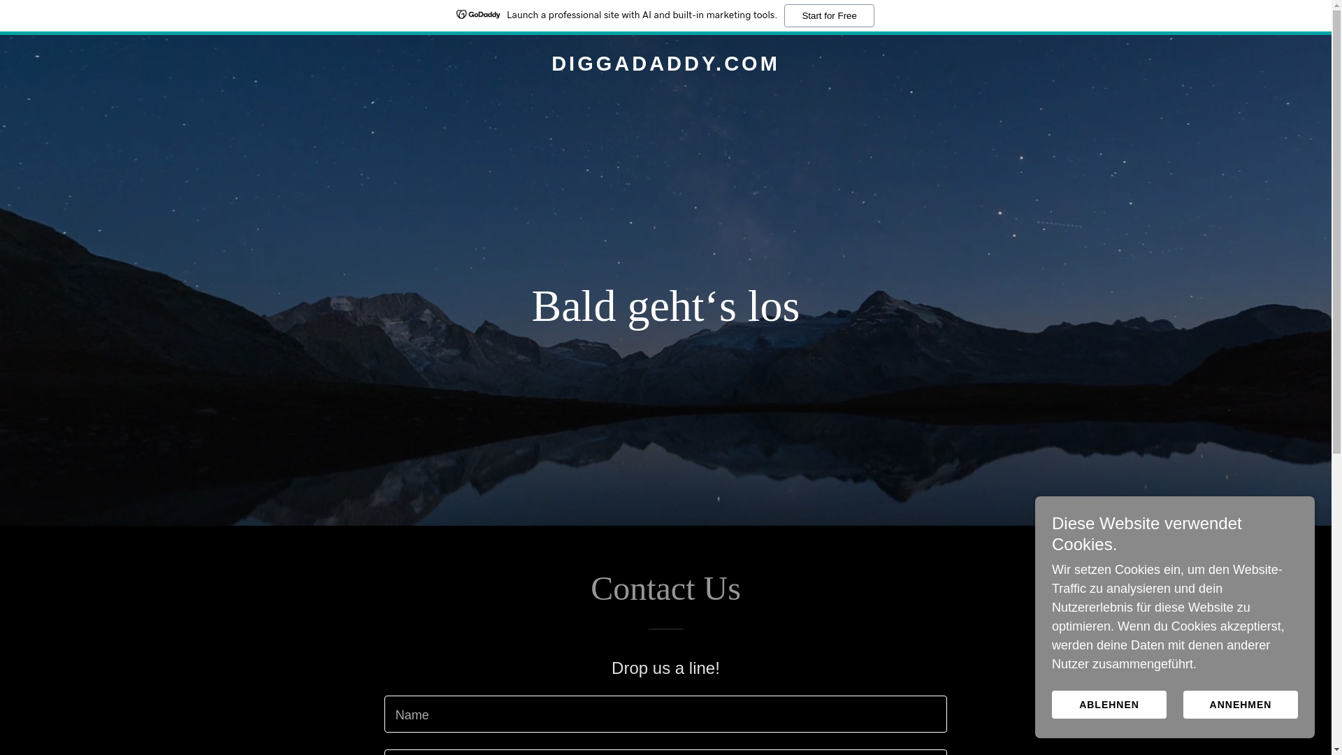 website screenshot of https://diggadaddy.com/